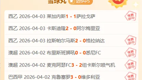 世界杯新军挑战南美劲旅前景分析